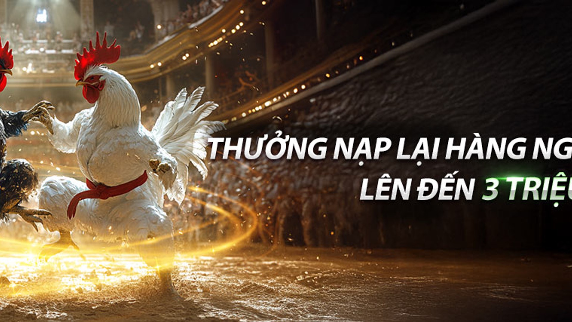 Hình ảnh sân đấu đá gà kịch tính tại RIK88